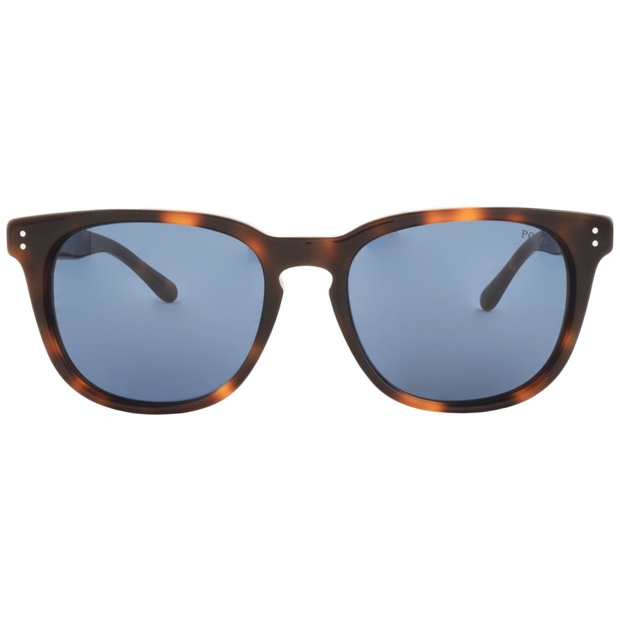 Alternative Image for ProductRalph Lauren Polo Player Sunglasses Brown2